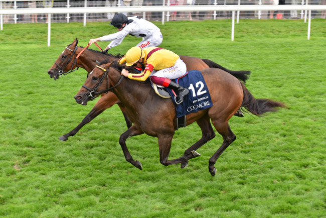 York Race Ranked as Best Sprint in the World