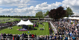 On To Victory faces MansionBet Yorkshire Cup