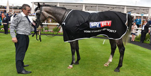 Simcock's Seasoned Campaigners primed for York Listed Tests