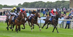 Tinkler hoping for 'major' player at York 