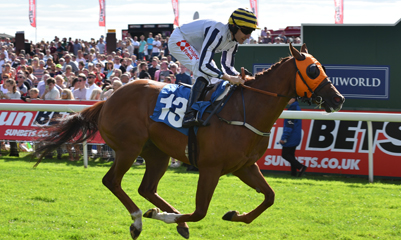 Jump Jockey Scu hoping for repeat success at York