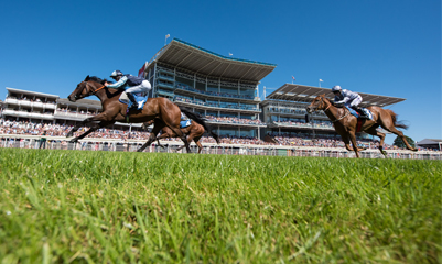 The Welcome to Yorkshire Ebor Festival: Horses are coming...