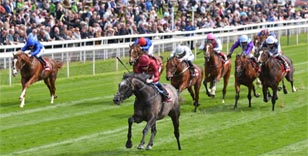 York Racecourse to show World Cup Play Off at John Smith's Cup Day on Saturday 