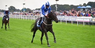 Elarqam on comeback trail in Sky Bet York stakes