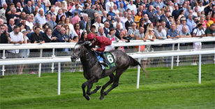 Welcome to Yorkshire Ebor Festival delivers story after story 