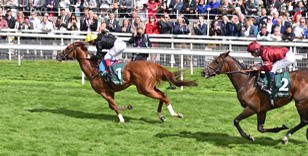 YORK RACECOURSE SEASON COMES TO A ROUSING CONCLUSION 