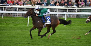 STARS STAND GROUND AHEAD OF GROUP TWO FEATURE AT YORK 