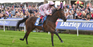  DANTE FESTIVAL SET TO KICK OFF RECORD BREAKING 2019 SEASON AT YORK