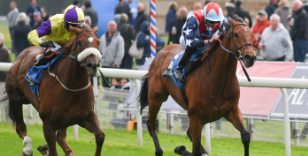 SIR DANCEALOT OUT TO BOOST FINE YORK RECORD