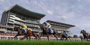 “GRANITE” HORSE LAKE VOLTA PRIMED FOR LATEST ASSIGNMENT AT YORK