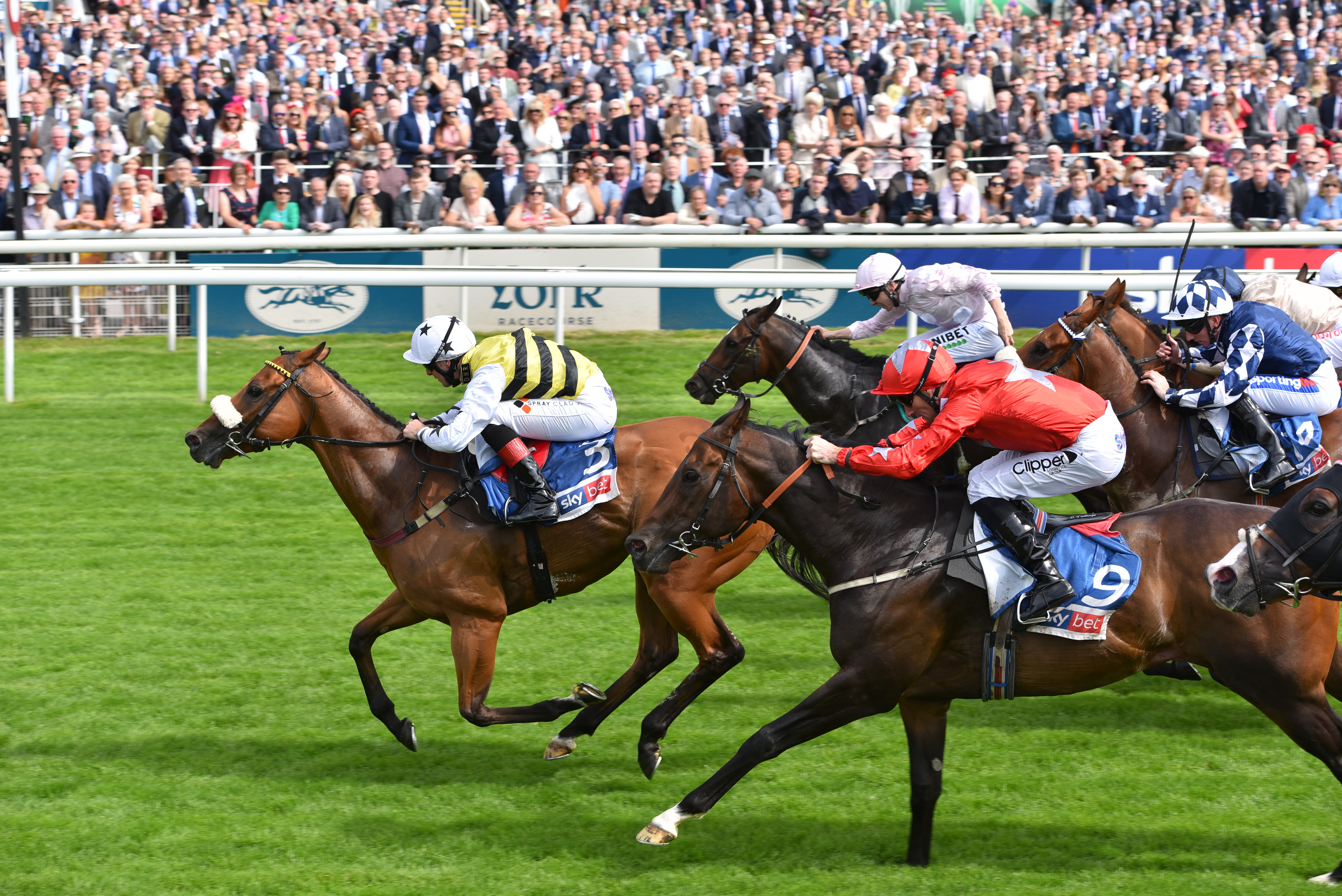 DAKOTA GOLD'S CHARGE UP THE SPRINT RANKINGS