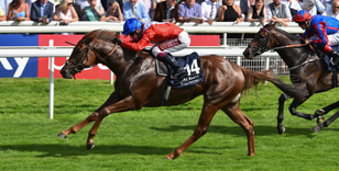 THE 249th GIMCRACK DINNER