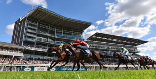 THE 2019 SEASON AT YORK RACECOURSE EXEMPLIFIES THE DECADE
