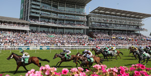 YORK RACECOURSE OFFERS WEATHER WATCHING SERVICE