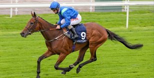 DANTE FESTIVAL: EXCITING ENTRIES FOR THE FEATURE CONTESTS