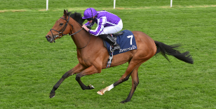 REACTIONS FROM THE DANTE FESTIVAL