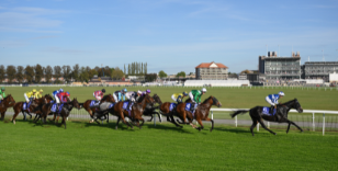 JUNE MEETING - THE HORSES ARE COMING