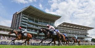 JOHN SMITH'S CUP MEETING - HORSES ARE COMING...