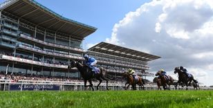  YORK RACECOURSE HERALDS STAR HORSES AND RESOURCEFUL RACEGOERS
