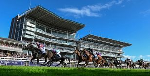 A RECORD SETTING YORK RACECOURSE SEASON CONCLUDES