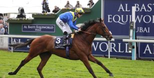 DANTE FESTIVAL SET TO BE CLASSY AFFAIR