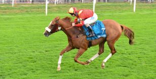 DODS TARGETING SUNDAY SUCCESS IN BETGOODWIN GARROWBY STAKES