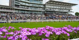 TWO-DAY OCTOBER MEETING – A PROPER FINALE TO THE YORK RACES SEASON