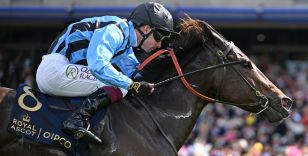 THE MOST INTERNATIONAL ENTRIES EVER FOR THE RECORD £1.25M JUDDMONTE INTERNATIONAL 