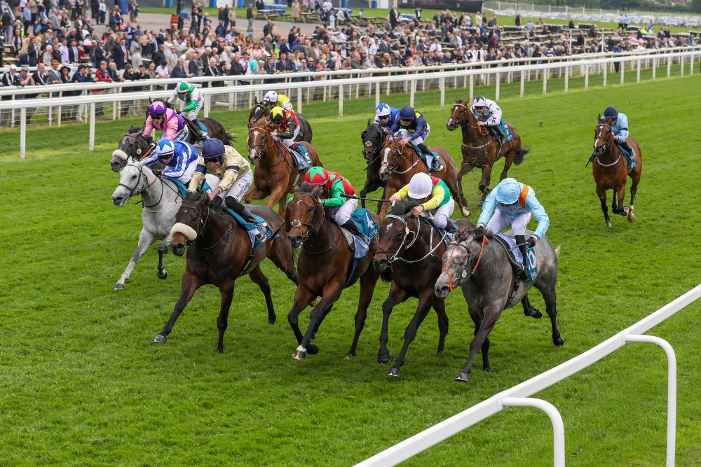 GLOBAL INTEREST AT A RECORD LEVEL FOR SKY BET EBOR FESTIVAL