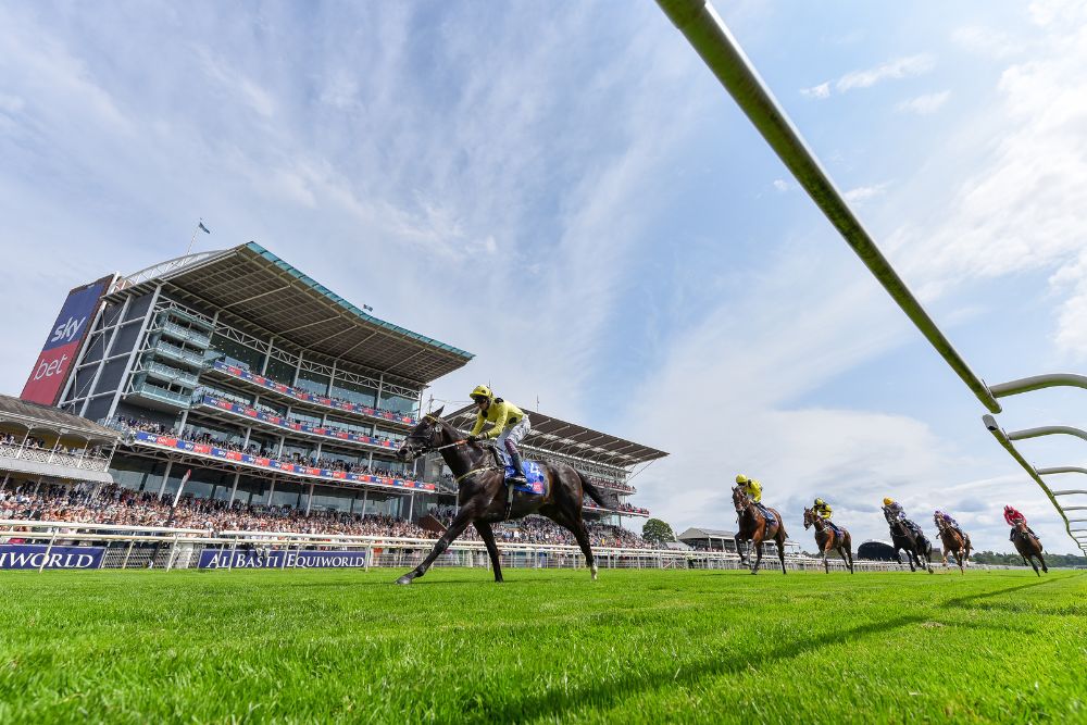 Looking Forward to the Sky Bet Ebor Festival 2025