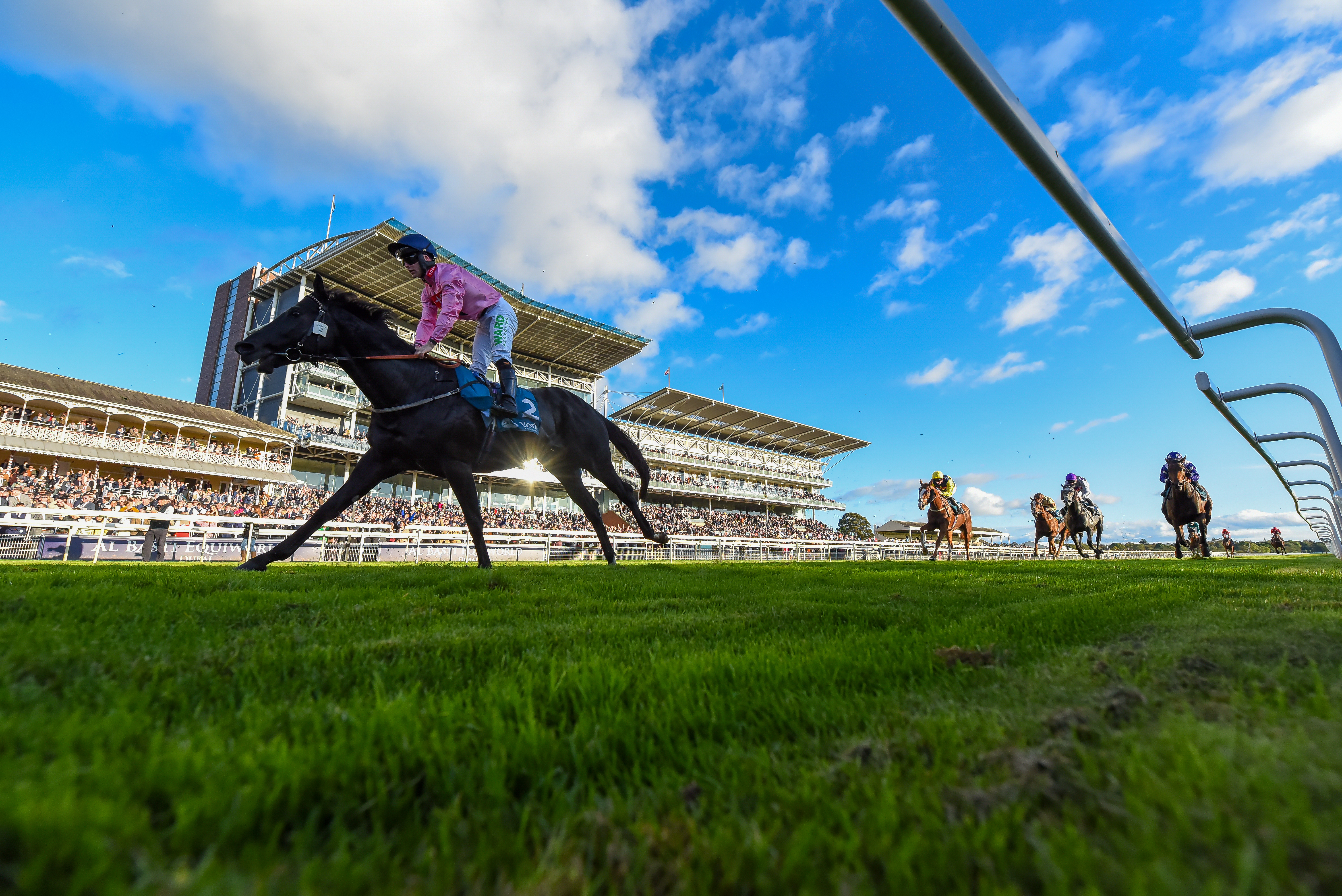 Horses are coming - October Finale