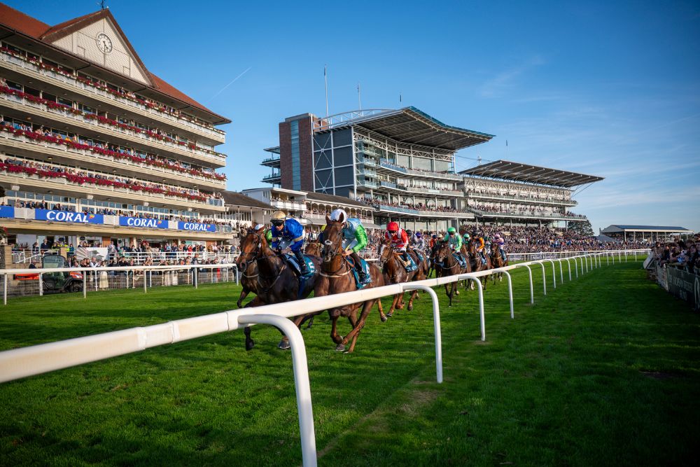  A SUNNY 2025 YORK RACECOURSE SEASON CONCLUDES