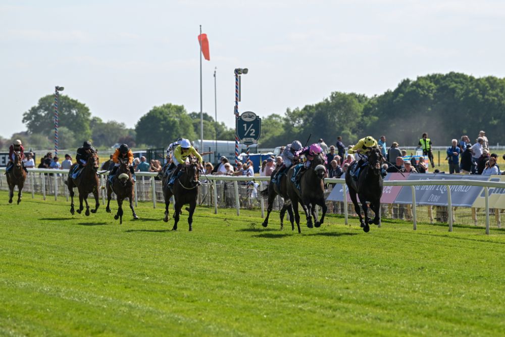 New sponsor for Dante Festival at York Racecourse