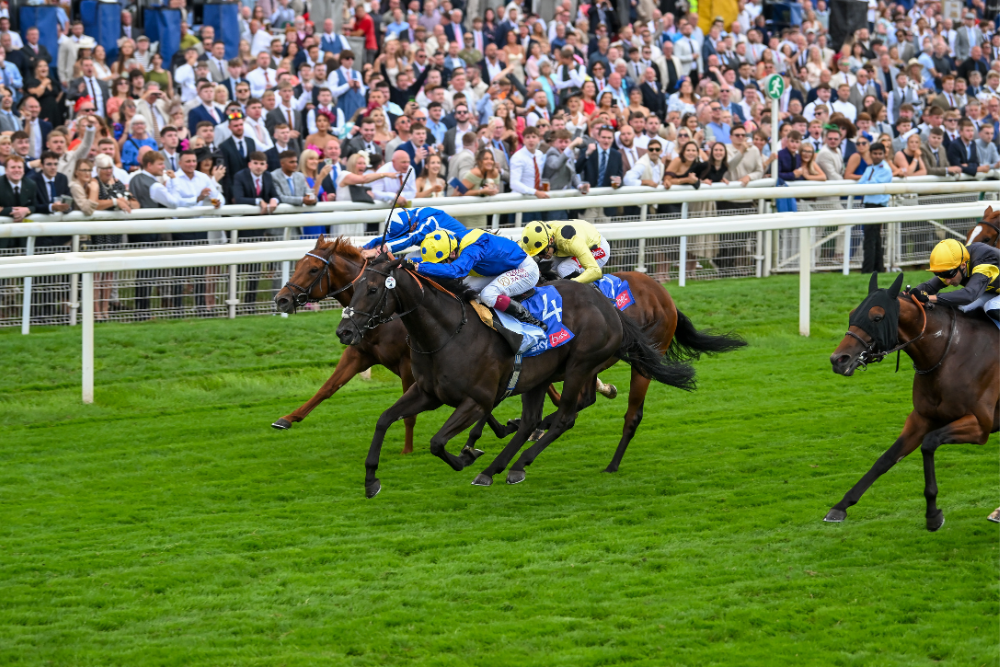 Summer Music Saturday: The Horses Are Coming