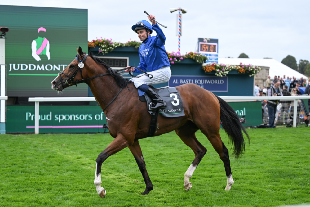 Sky Bet Ebor Festival Entries