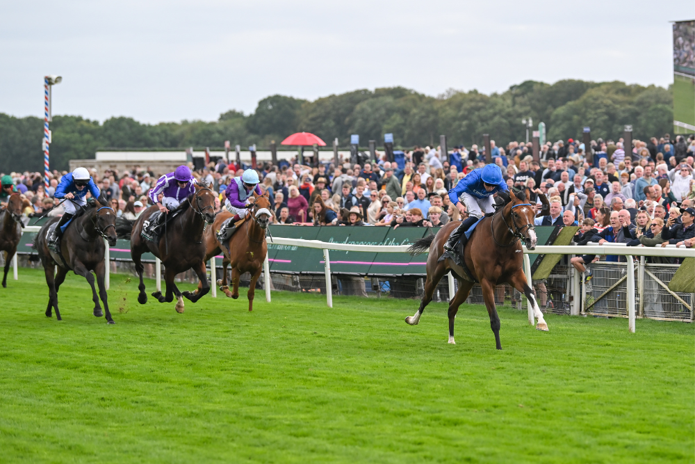 Looking Forward to the Sky Bet Ebor Festival 2026