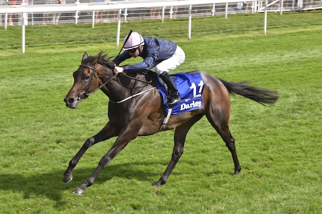 York celebrates staging the best race for fillies & mares in Europe