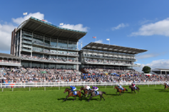 York Racecourse voted best track in Britain