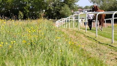 Environmental Sustainability